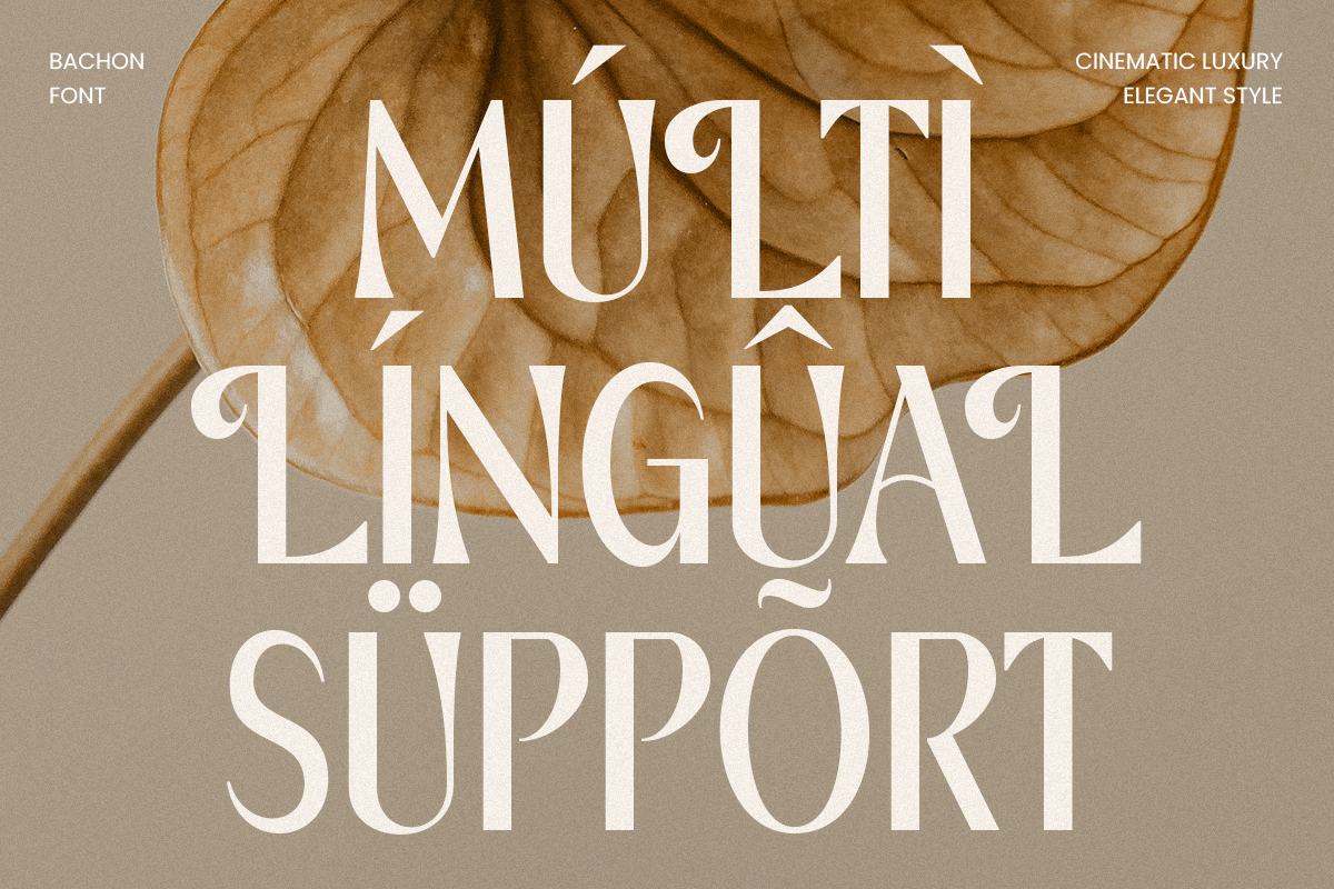 Bachon - Luxury Elegant Font, a Sans Serif Font by Sensatype (Photo 13 of 14)