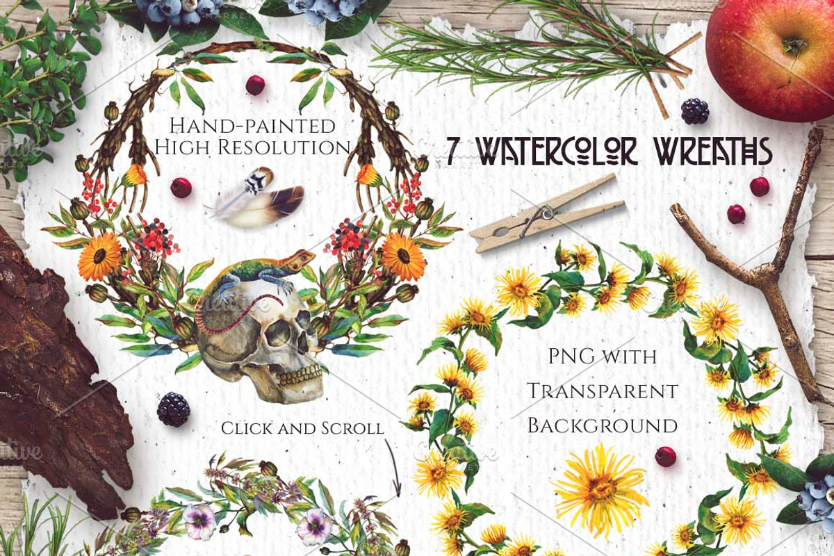 Watercolor Alchemy Medicinal Herbs, an Illustration by Fluffy Unicorn (Photo 3 of 10)