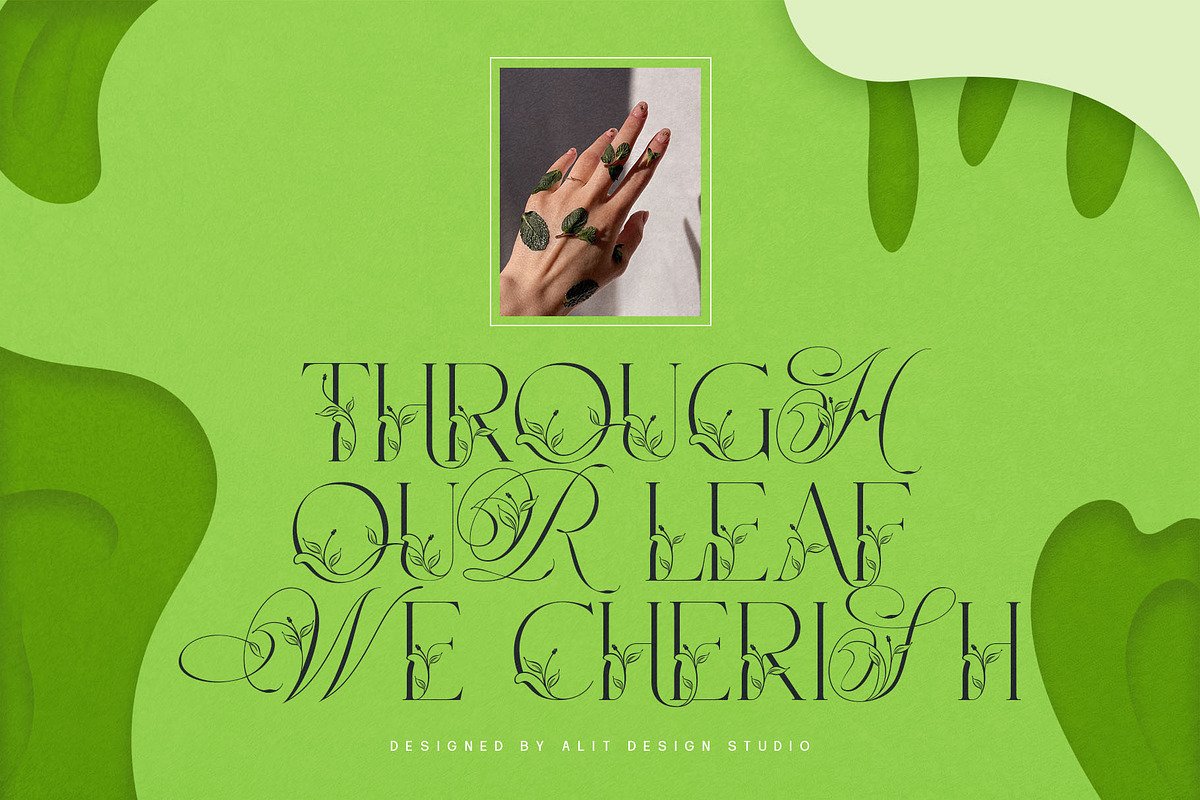 Narony Natural Typeface, a Sans Serif Font by alit design (Photo 1 of 20)