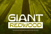Gravis - Display Font, a Font by Alpaprana (Thumbnail 5 of 11)