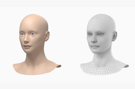 Natural Female Head 01 Generic Mesh, a Characters & Person 3D Model by VK Studio