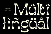 Rapsed - Display Typeface, a Serif Font by Craft Supply Co. (Thumbnail 7 of 8)