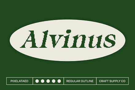 Alvinus Pixel, a Serif Font by Craft Supply Co.