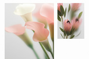 Harvest – Blurry Autumn Backgrounds, a Background Graphic by divanovskaya_nv (Thumbnail 2 of 18)