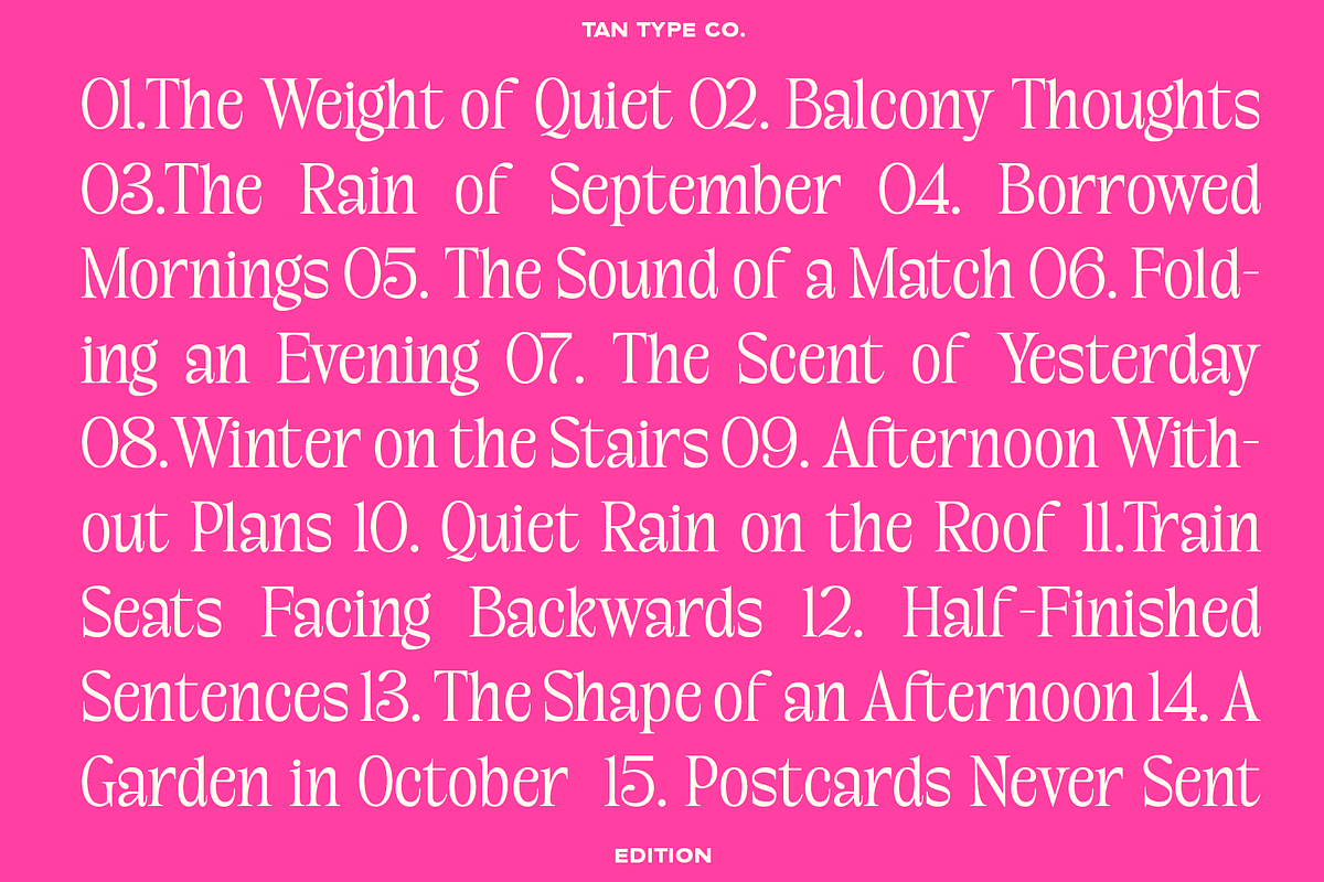 TAN-EDITION, a Sans Serif Font by TanType (Photo 10 of 10)