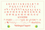 Fading Husker Modern Serif Font, a Serif Font by timelesstype.co (Thumbnail 19 of 20)