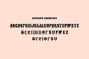 Monotones Font, a Sans Serif Font by Salt & Pepper Designs (Thumbnail 11 of 13)
