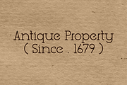 Be Type Reborn Lite Serif Font, a Serif Font by Monoletter Studio (Thumbnail 6 of 6)