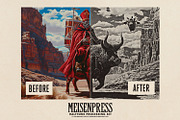 Meisenpress Halftone Processing Kit, an Action Add-On by G.A.R.M. Company (Thumbnail 9 of 10)