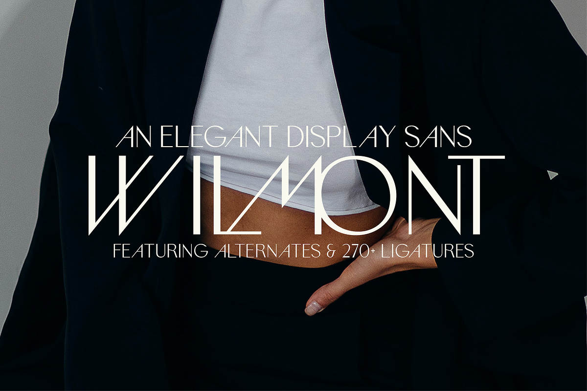 Wilmont - Elegant Ligature Font, a Sans Serif Font by Surplus Type Co (Photo 1 of 11)
