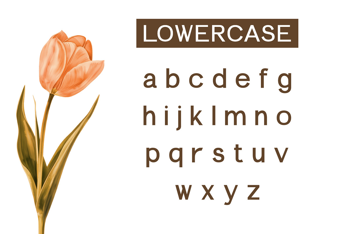 Elemendy, a Sans Serif Font by Rishsketch (Photo 7 of 12)