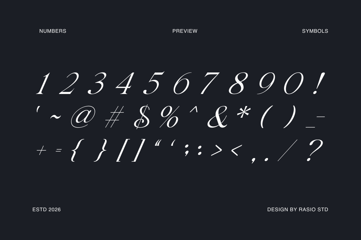 Gavielle Italic Elegant Serif Font, a Serif Font by Rasio Studio (Photo 3 of 9)