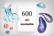 Seashell collection, a Decorative Illustration by Germesia arts store (Thumbnail 2 of 4)