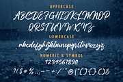 Debtos - Script, a Script Font by Inspiratype (Thumbnail 7 of 11)