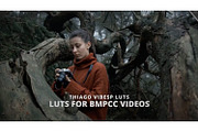 Cinematic BMPCC 4K and 6K LUTs, a Preset Add-On by Creative House (Thumbnail 2 of 4)