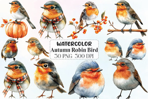 Autumn Robin Bird Clipart, an Illustration by CraftArtStudio