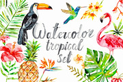Watercolor tropical set, an Illustration by artnLera (Thumbnail 1 of 3)