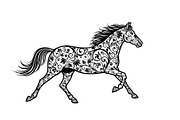Running Horse Silhouette SVG Bundle, an Illustration by Creativeshirt (Thumbnail 13 of 31)