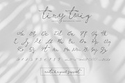 Tiny Twig - Botanical Display Font, a Handwritten Font by AndrewPixelType (Thumbnail 3 of 7)