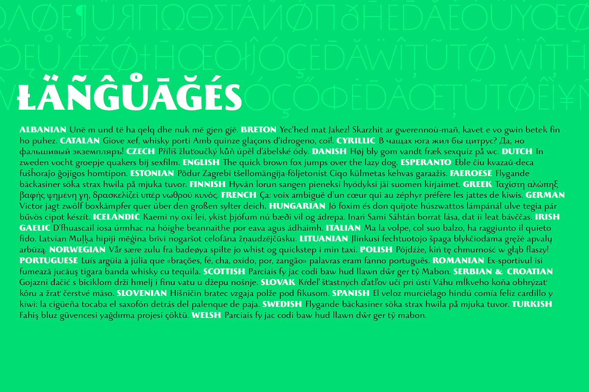Beatrix Antiqua - 18 fonts preview 8