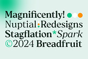 Reloka, a Serif Font by Locomotype (Thumbnail 6 of 12)