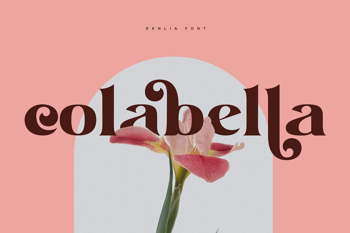 Denlia - Modern Serif, a Serif Font by Khoir (Photo 8 of 11)
