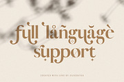 Vicky Christina Ligature Serif Font, a Serif Font by SilverStag Type Foundry (Thumbnail 16 of 25)