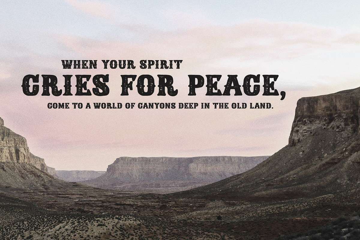 Deadmill - Wild West Serif, a Serif Font by Parker Creative (Photo 3 of 6)