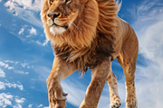 116 Flying animals, an Animal Photo by Handmadefont (Thumbnail 80 of 119)