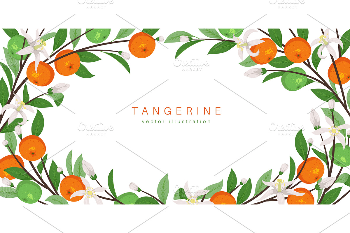 Mandarin fruit frame. Orange juicy, a Food Illustration by YummyBuum
