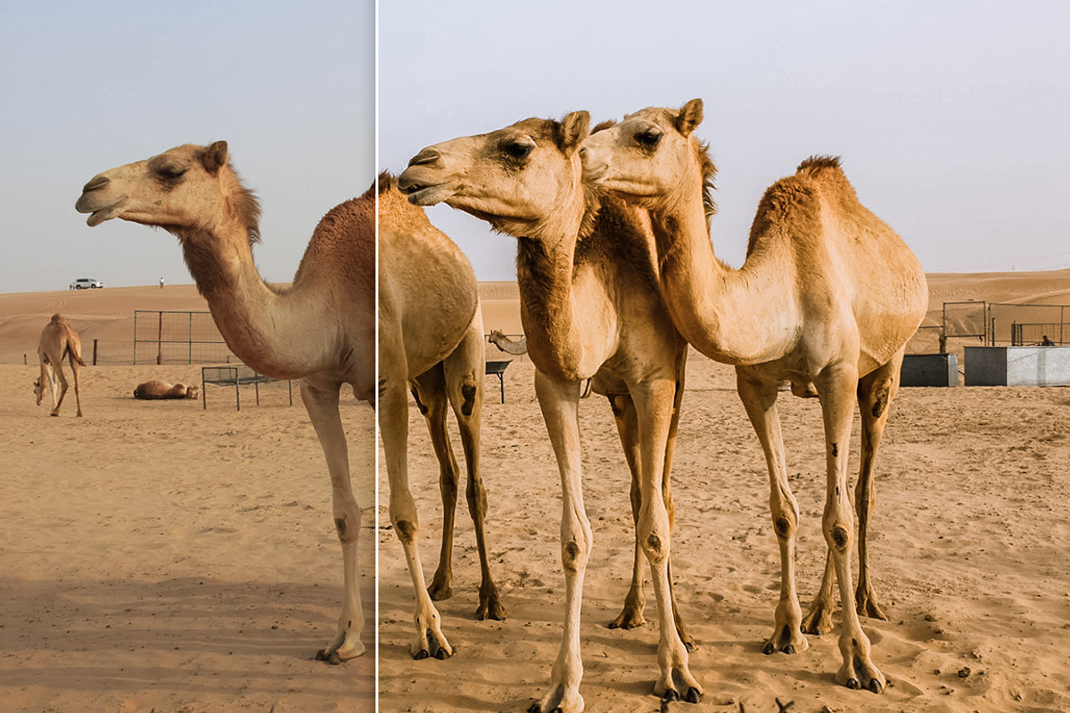 Emirates - Premium Lightroom Presets, an Action Add-On by PhotoMarket (Photo 12 of 65)
