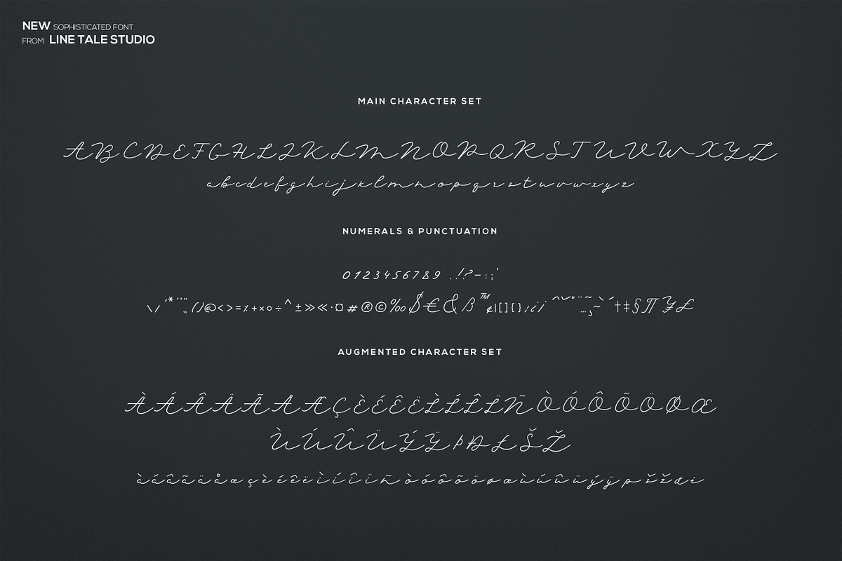Harmony Font, a Script Font by LineTale (Photo 9 of 9)