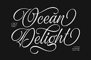 Ocean Delight a Stylish Script Font, a Script Font by Blankids Studio (Thumbnail 13 of 13)