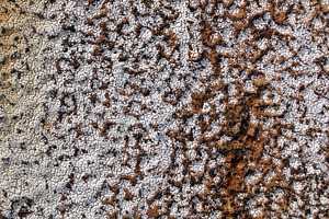 Old grunge surface, a Photo by saiko3p