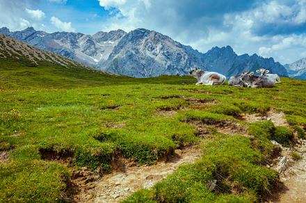 landscape with mountains, clouds and grass, a Nature Photo by Alliance Images