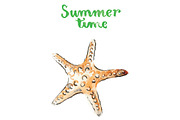 Watercolor sea animals, an Animal Illustration by miminoshka (Thumbnail 6 of 9)