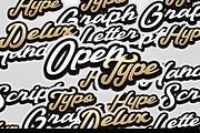 Talmano Script Font 80%OFF, a Script Font by Haws.std (Thumbnail 3 of 6)