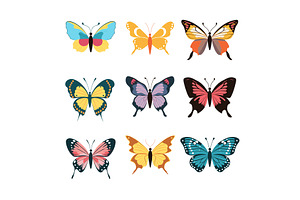 Nine Colorful Butterfly