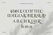 Cellina Wildrone Display, a Sans Serif Font by Eltypesstudio (Thumbnail 5 of 13)