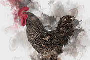 Ink & Watercolor Art PhotoshopAction, an Action Add-On by MRI STUDIO (Thumbnail 9 of 11)