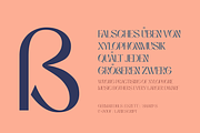 Niasec Lux Elegant Display Font, a Sans Serif Font by Casloop Studio (Thumbnail 14 of 15)