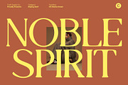 CS Abenia Drawn, a Serif Font by Craft Supply Co. (Thumbnail 6 of 8)