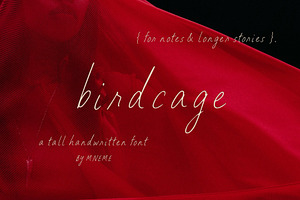 Birdcage Handwritten Font, a Handwritten Font by Mneme