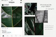 15 Green plant Insta photos, a Product Mockup by Nellaino (Thumbnail 4 of 7)