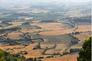Breathtaking view from the top of a, a Nature Photo by Illustrations&photos