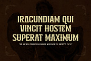 Alinore Display Typeface Font LS, a Sans Serif Font by Storytype Studio (Thumbnail 7 of 15)