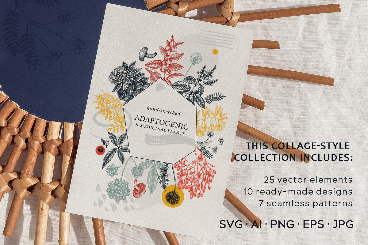 Adaptogenic & Medicinal Plants Set, a Healthcare Illustration by Yevheniia (Photo 9 of 9)