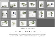 The Palm Leaves Bundle, a Print Template by Imperium Nordique (Thumbnail 5 of 5)