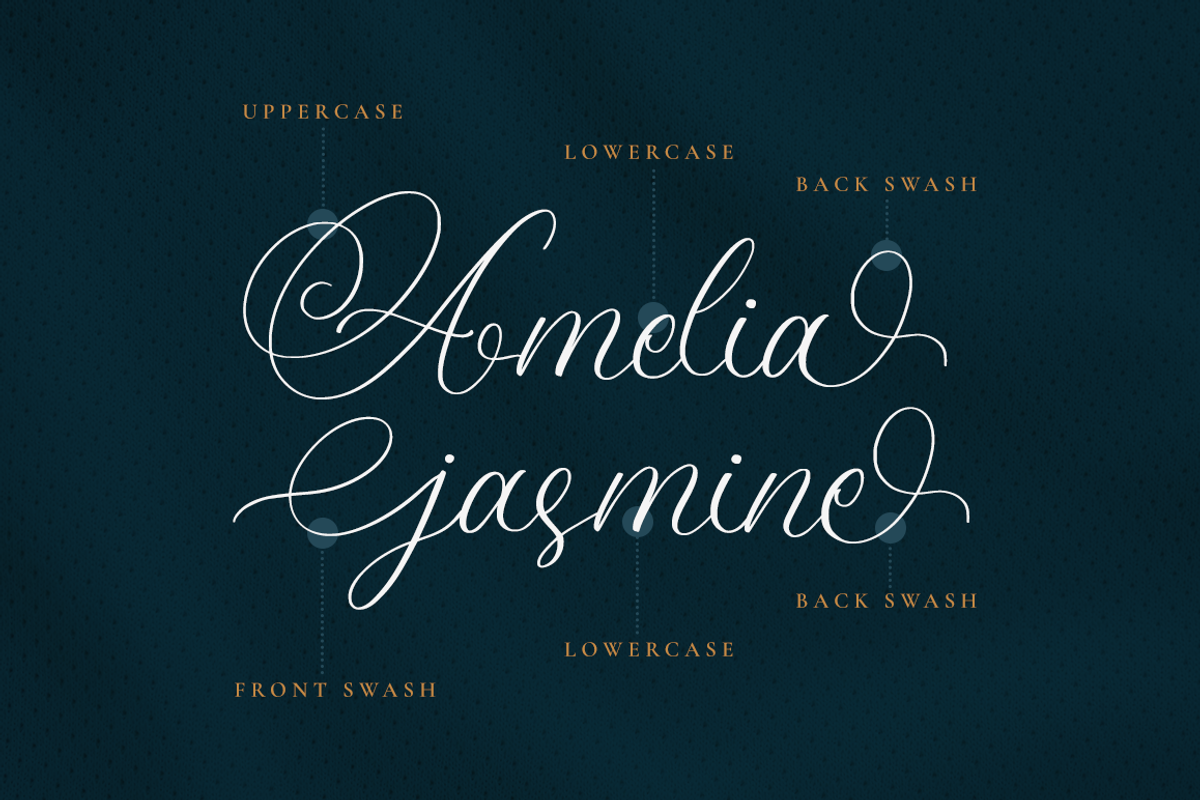 Amanda Calligraphy, a Script Font by RockboyStd (Photo 8 of 12)