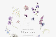 EUPHORIA Purple Watercolor Florals, a Decorative Illustration by Muse Artist (Thumbnail 5 of 12)